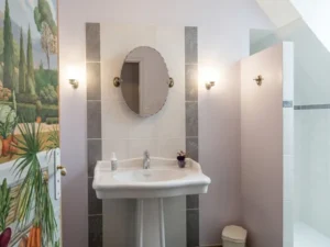 chambres-dhotes-blois-le-clos-des-noels-salle-de-bain-le-perron